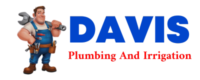 Trusted plumber in SAN FELIPE